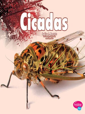 Cicadas - ebook